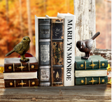 Serre-Livres - Tirelire