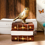 Serre-Livres - Tirelire