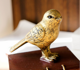 Serre-Livres - Tirelire